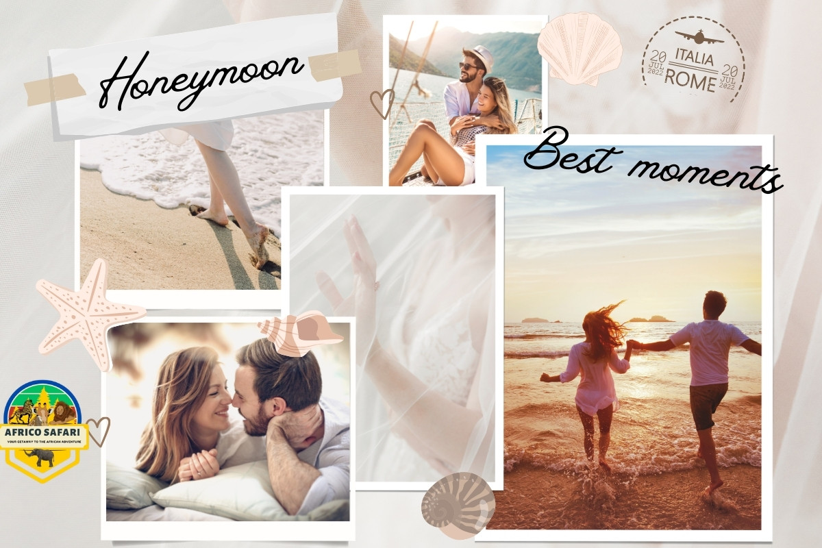 Africo Safari Beauty